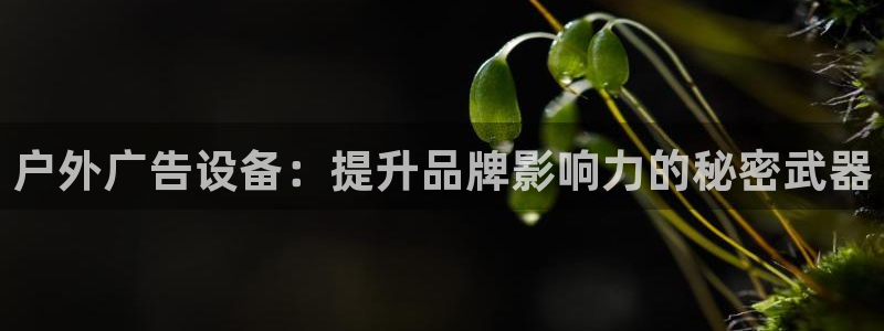 杏宇平台注册登录