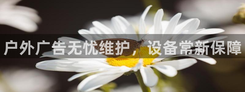 杏宇平台招商