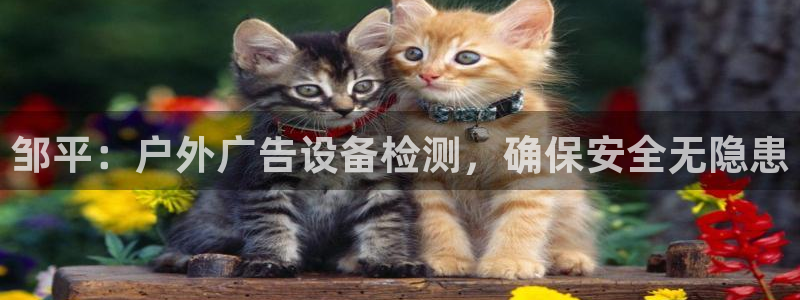 杏宇平台登录方法