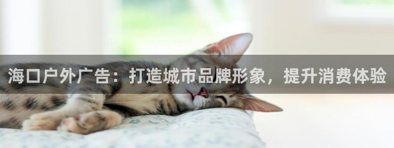 杏宇平台登陆