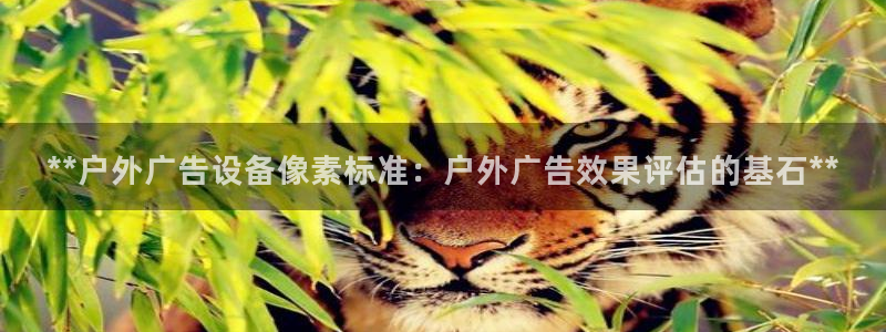 杏宇平台登陆：**户外广告设备像素标准：户外广告效果评估的基石**