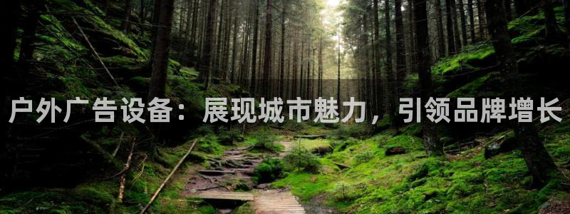 杏宇平台登陆