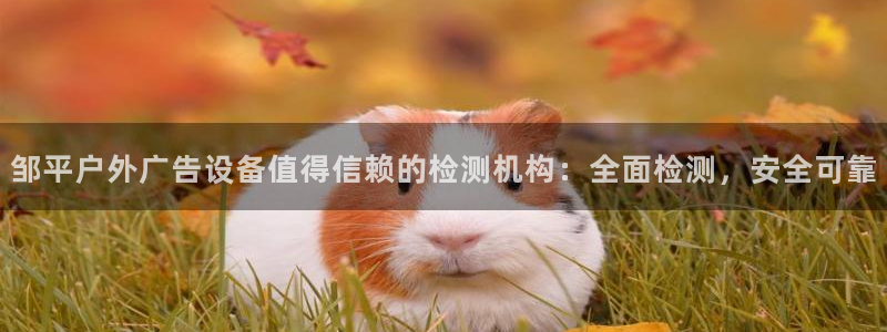 杏宇平台总代理电话：邹平户外广告设备值得信赖的检测机构：全面检测，安全可靠