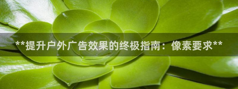 杏宇平台代理怎么赚钱：**提升户外广告效果的终极指南：像素要求**