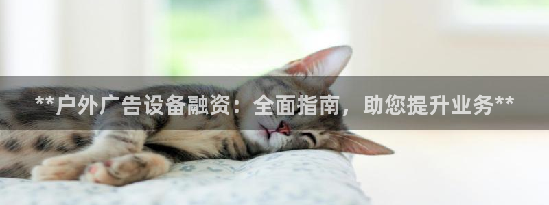 杏宇平台总代理电话：**户外广告设备融资：全面指南，助您提升业务**