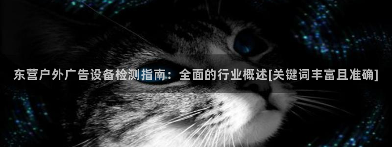 杏宇平台代理：东营户外广告设备检测指南：全面的行业概述[关键词丰富且准确]