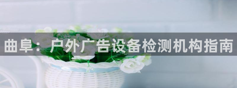 杏宇官方平台官网