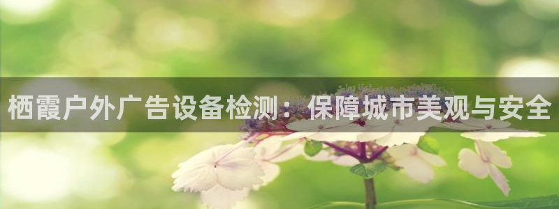 杏宇平台总代理电话
