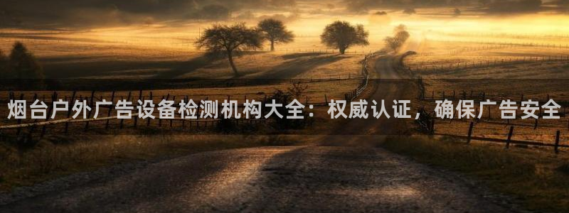 杏宇平台测速链接：烟台户外广告设备检测机构大全：权威认证，确保广告安全