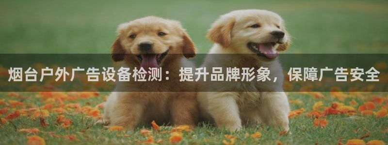 杏宇平台代理：烟台户外广告设备检测：提升品牌形象，保障广告安全