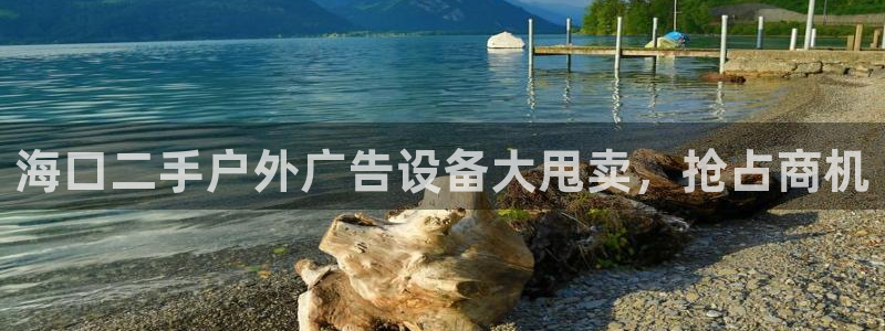 杏宇平台是什么
