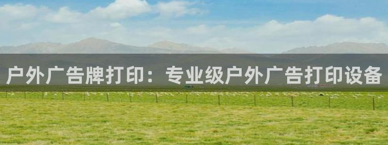 杏宇平台代理