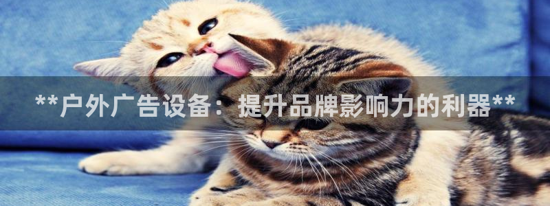 杏宇平台登录步骤