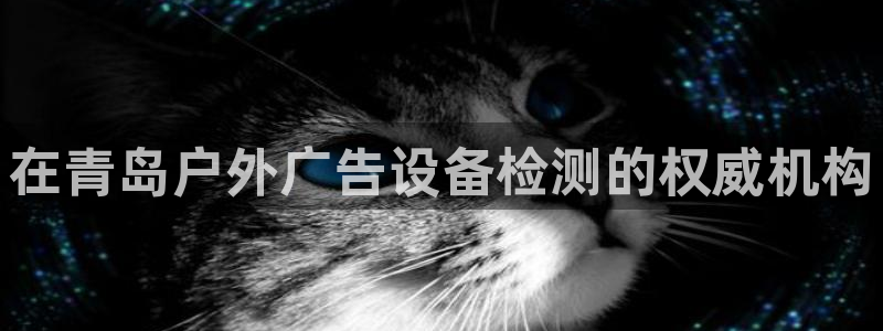 杏宇平台注册地址在哪里