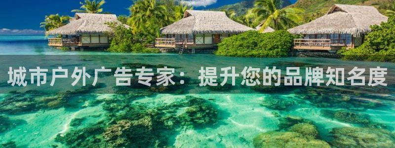 杏宇平台怎么样赚钱
