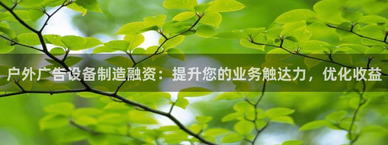 杏宇官方平台官网入口