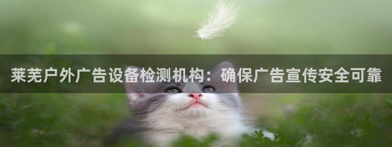 杏宇平台总代理电话