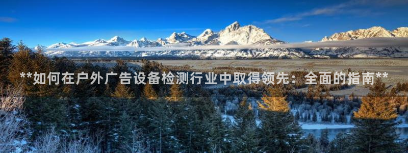 杏宇平台主管