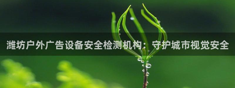 杏宇平台注册登录