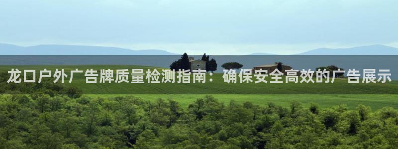 杏宇官方平台官网入口