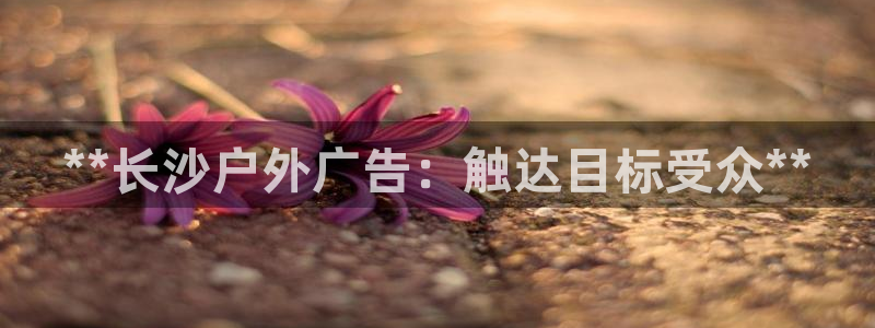 杏宇官方平台官网下载