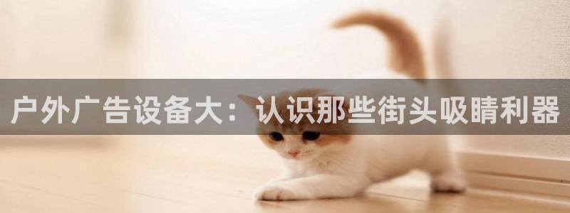 杏宇平台招商电话号码