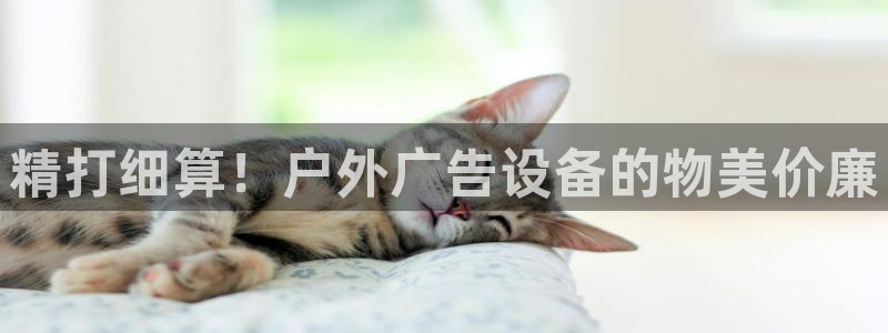 杏宇平台代理怎么样可靠吗