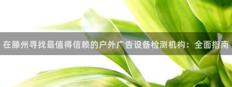 杏宇代理注册