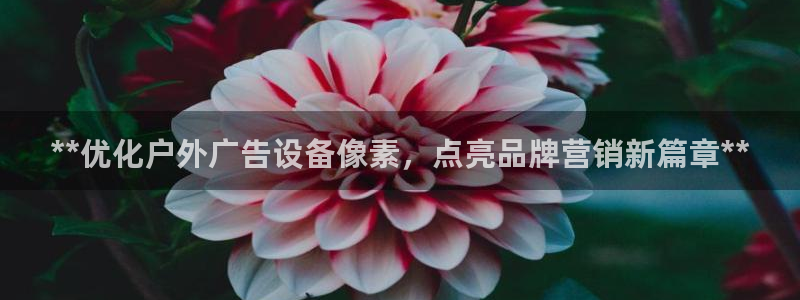 杏宇平台招商