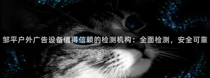 杏宇平台是什么