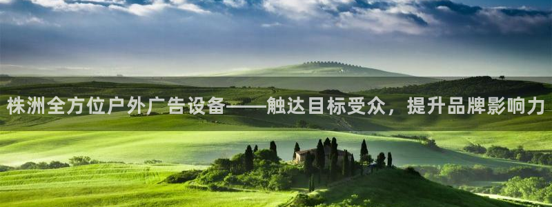 杏宇平台是什么