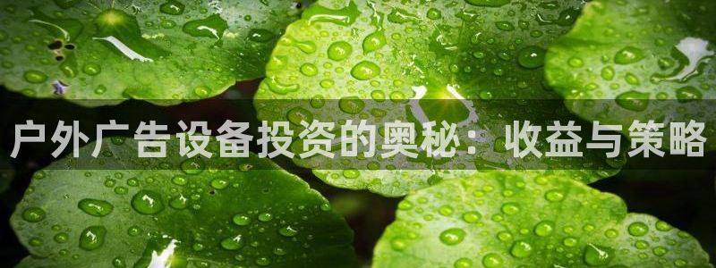 杏宇平台主管