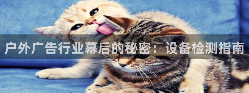 杏宇平台注册地址在哪里