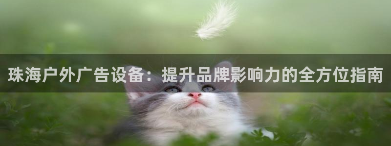 杏宇平台招商怎么样：珠海户外广告设备：提升品牌影响力的全方位指南