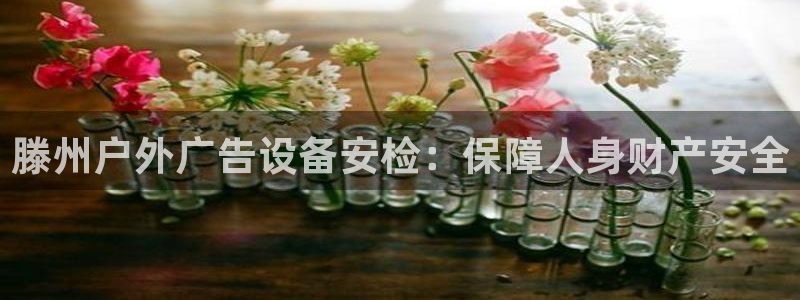 杏宇平台怎么样赚钱