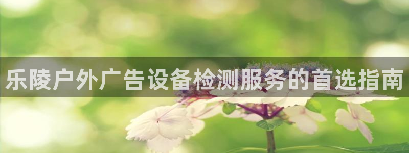 杏宇平台登录步骤是什么：乐陵户外广告设备检测服务的首选指南