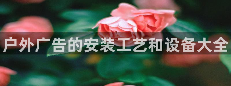 杏宇平台代理怎么样