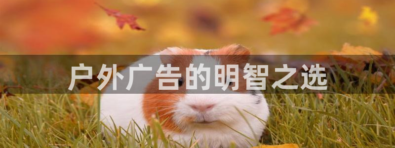 杏宇平台测速链接