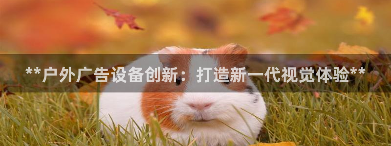 杏宇平台登录步骤图：**户外广告设备创新：打造新一代视觉体验**