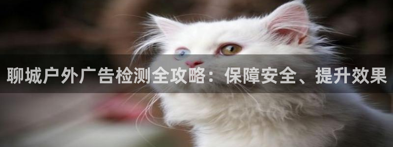 杏宇平台代理多少钱一次