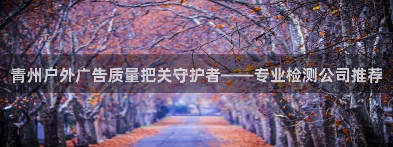 杏宇平台代理怎么样