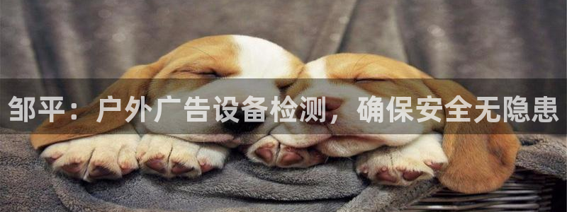 杏宇平台代理多少钱一个月