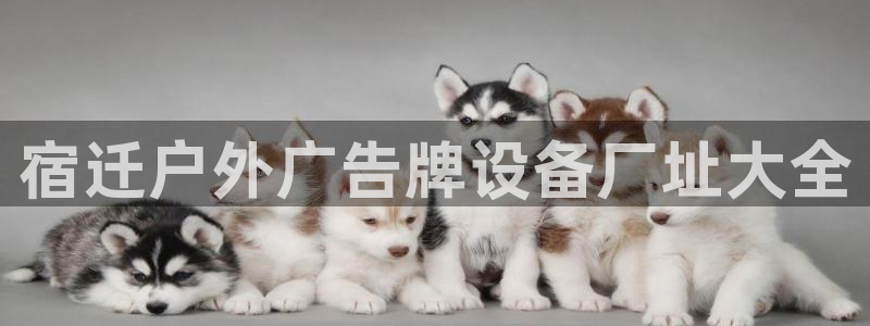 杏宇平台注册地址