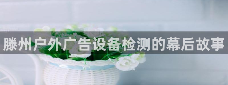 杏宇平台招商电话号码