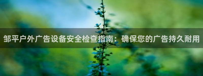 杏宇平台主管：邹平户外广告设备安全检查指南：确保您的广告持久耐用
