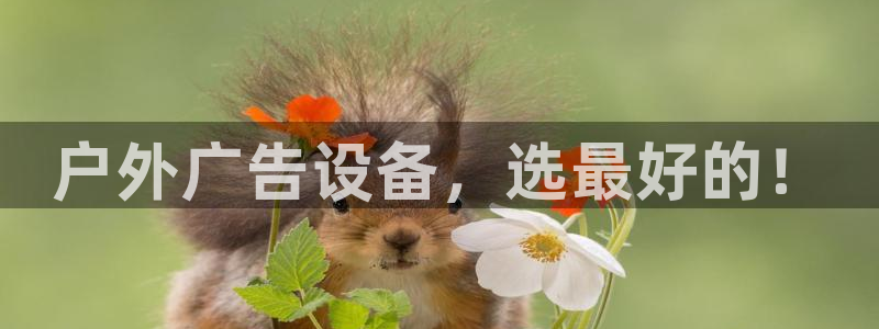 杏宇平台代理多少钱一次