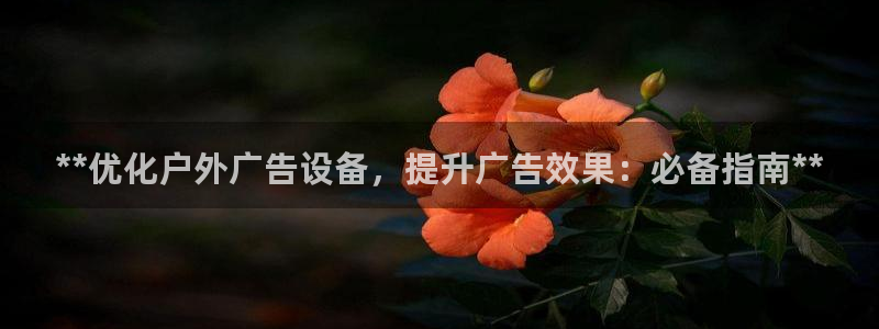 杏宇平台招商电话号码：**优化户外广告设备，提升广告效果：必备指南**