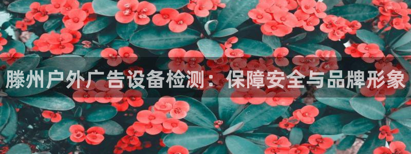 杏宇平台代理怎么样可靠吗：滕州户外广告设备检测：保障安全与品牌形象