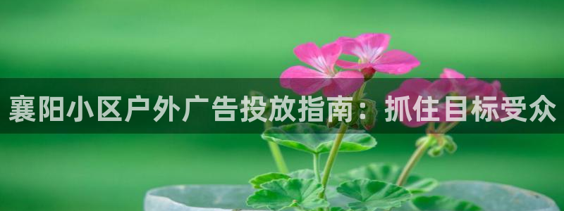 杏宇平台代理怎么样