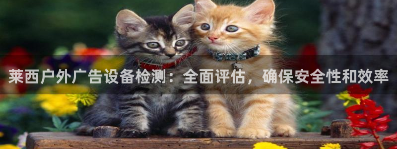 杏宇平台登录方法：莱西户外广告设备检测：全面评估，确保安全性和效率